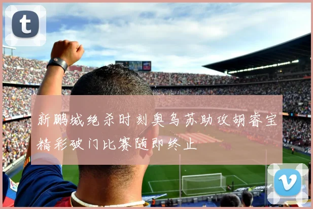 新鹏城绝杀时刻奥乌苏助攻胡睿宝精彩破门比赛随即终止